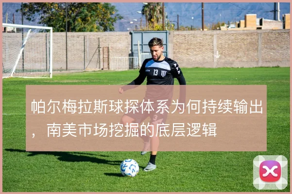 帕尔梅拉斯球探体系为何持续输出,南美市场挖掘的底层逻辑