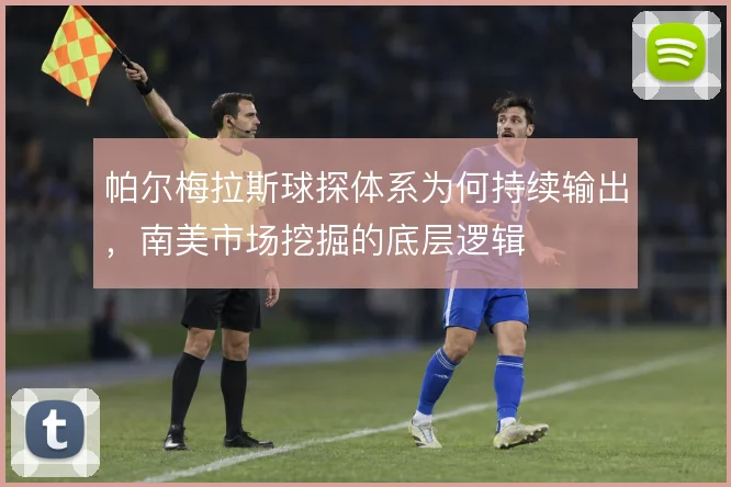 帕尔梅拉斯球探体系为何持续输出,南美市场挖掘的底层逻辑
