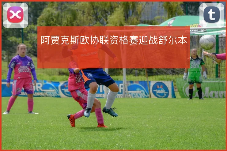 阿贾克斯欧协联资格赛迎战舒尔本